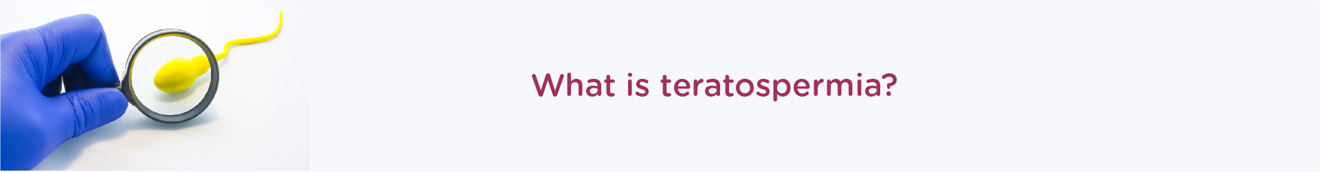 What is Teratospermia?