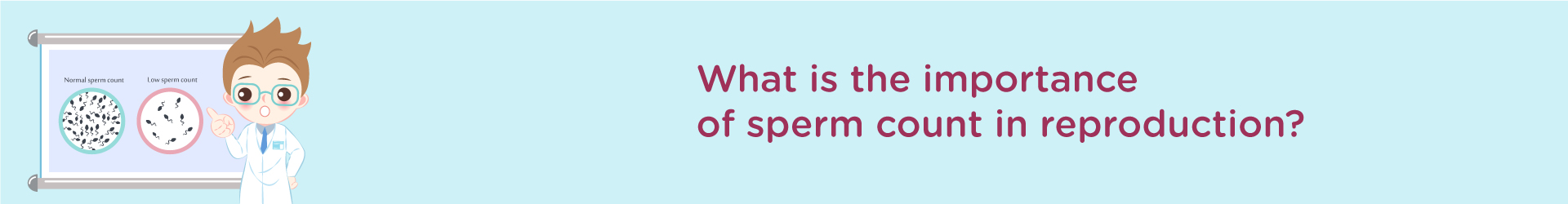 What is the Importance of Sperm Count in Reproduction?