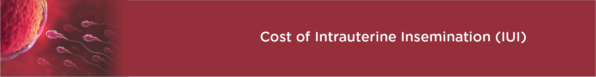How Much Does Intra Uterine Insemination Cost?