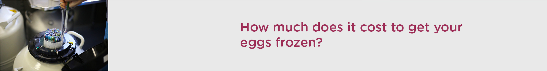 How much does it cost to get your eggs frozen?
