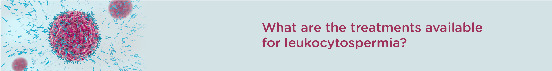 What are the Treatments Available for Leukocytospermia?
