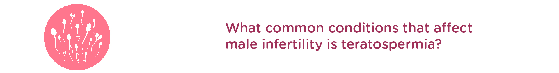 What Common conditions that affect male infertility is teratospermia?