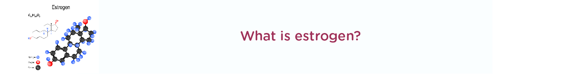 What Is Estrogen?